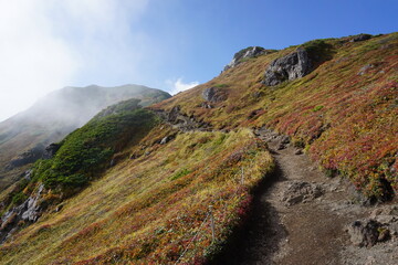 富良野岳