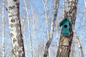 bird house in the forest