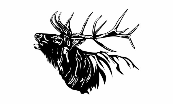 Vector ELK DEER