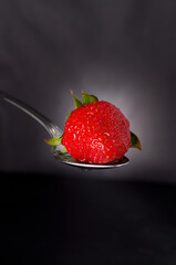 Beautiful Details of Red Strawberry in a Spoon with Studio Lighting