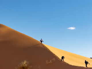 Unrecognizable tourists climbing with difficulty along the crest of a high sand dune. Low angle view from behind three men holding their shoes in their hands and making efforts to climb the dune.
