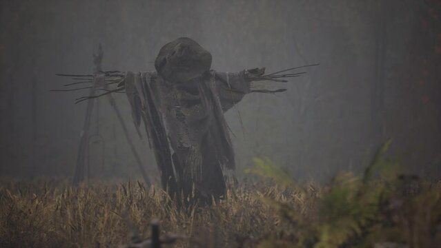 terrible scarecrow in dark cloak and dirty hat stands alone in autumn field