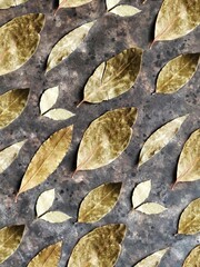 Pattern of different bay leaf on old black rusty background. Background of spices