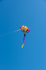Colorful Kites flying over the sky