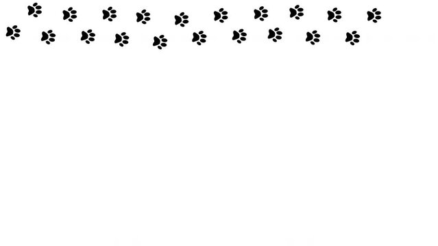Animation of a cat's footprints. A long cat trail along the edge of the screen. Cat paws on a transparent background.