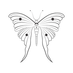 Sketch tattoo of outline insect. Isolated linear vector illustration of butterfly on white background
