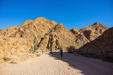 Colored canyon with red limestone rocks, Nabq protected area, Sharm El Sheikh, Sinai peninsula, Egypt, North Africa. Egyptian safari	