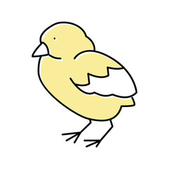 chick bird color icon vector illustration