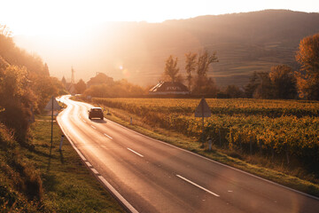 road through the vineyards at sunset
