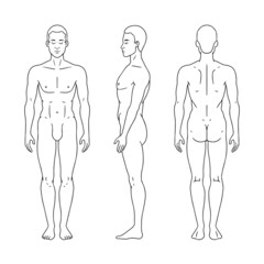 Man figure standing, silhouette, front, back and side view. Male body anatomy diagram. Vector illustration