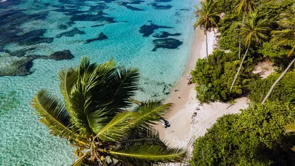 Fototapeten vue aérienne d' une Plage paradisiaque de Guadeloupe aux Antilles dans les caraïbes © guillaumevoiturier