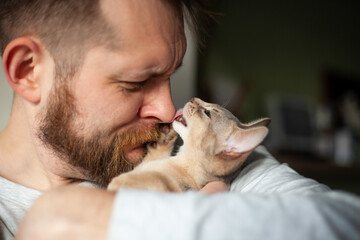 Close up of abyssinian kitten licking bearded man's nose. Love relationship, friendship between human and cat. Pets care. World cat day. Selective focus.