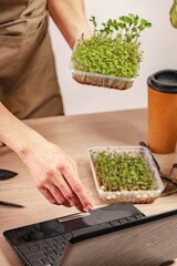 A woman uses internet technology to sell microgreens online. A woman grows microgreens in her home workshop. Small business indoors. Close-up of fresh healthy vegetarian food. Vertical shot