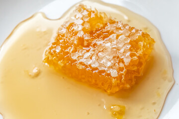 Honey in a comb taken out of the bee hive.