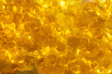 Honey in a comb taken out of the bee hive.