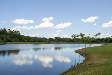 Obraz premium Paisagem de um parque muito arborizado e um lago, na cidade de Goiânia. Parque Leolidio di Ramos Caiado.