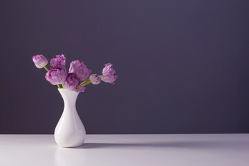 violet tulips in white vase on background gray wall