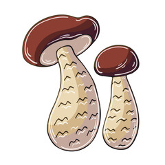 Fototapeta premium Autumn illustration in hand drawn style. Children's drawing