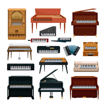 Collection of keyboard musical instruments.