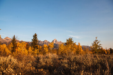 Fototapeta premium autumn in the mountains