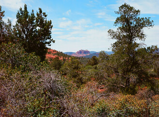 Sedona Red Rock Country