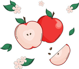 Vector Apple Collection with Apple Slices, Leaves and Blossoms 