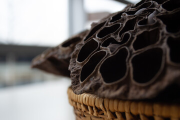 Close up of dried seed in a basket
