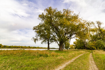 The road goes into the distance between green trees against the blue sky.