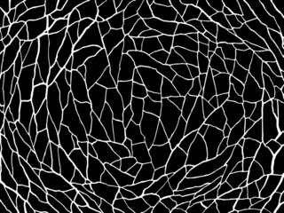 Obraz premium The cracks texture white and black. Vector background. Cracks in dry surface soil texture. shards