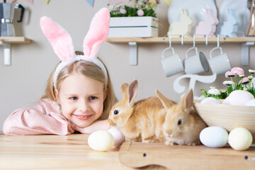 .Easter little girl with rabbit ears holds 2 live rabbits in her hands laughs and looks at the...