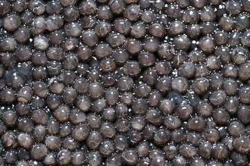 close-up black caviar. Macro photography caviar full frame background. 