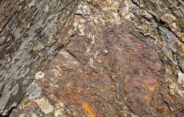 background of a stone surface with crustose Lichen