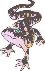 lizard gecko leopard vector isolated hand drawing