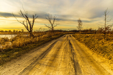 Polna droga w złotej godzinie. © Maciej