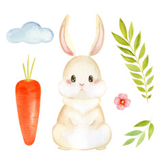 watercolor rabbit set carrot plants and cloud