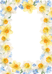 Obraz premium Frame with spring flowers, daffodils and forget-me-nots, watercolor illustration