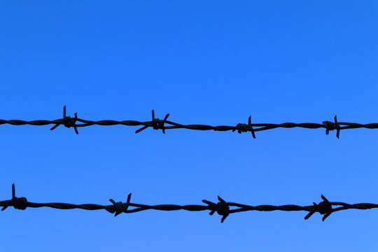 Barb wire against a clear blue sky. Close up, or part of a metal fenece. Stockholm, Sweden, Europe.