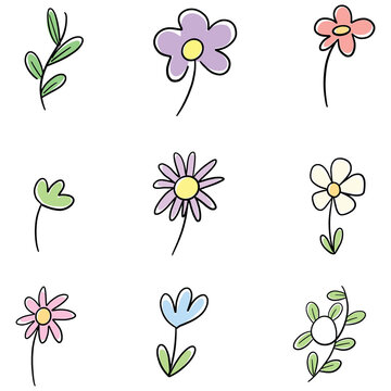 Floral Flower Doodle Illustration Collection of Wildflowers
