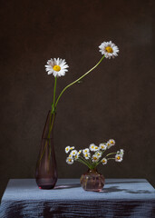 Bouquet of camomiles and daisies in a vase