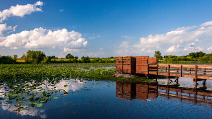 Wetlands landscape with a bird blind and cloudy sky reflected in a lake at the August A. Busch...