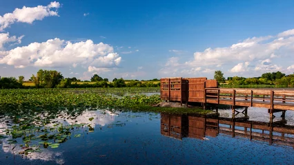 Foto op Plexiglas Wetlands landschap met een vogel blind en bewolkte hemel weerspiegeld in een meer in het August A. Busch Memorial Conservation Area in St. Charles County, Missouri © Patrick Rolands