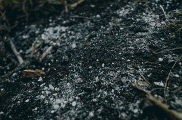 living soil