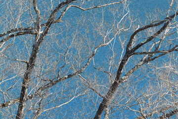 八ッ場あがつま湖