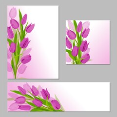 Tulips beautiful background. Set of spring card design. Tulips in fuchsia color. Background for your design, decor. Vector image