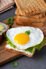 Sandwiches with curd cheese, fried egg and herbs