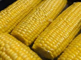 Sweet corn cob boiled in hot water. Vegetarian organic ripe food.