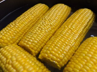 Sweet corn cob boiled in hot water. Vegetarian organic ripe food.