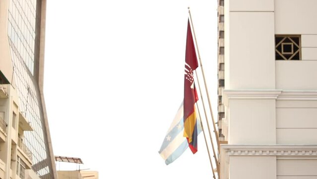 flags of the world