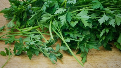 Flat Leaved Parsley