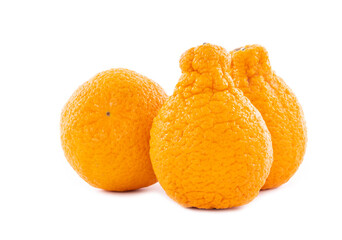 Three Sumo Mandarins Isolated on White Background